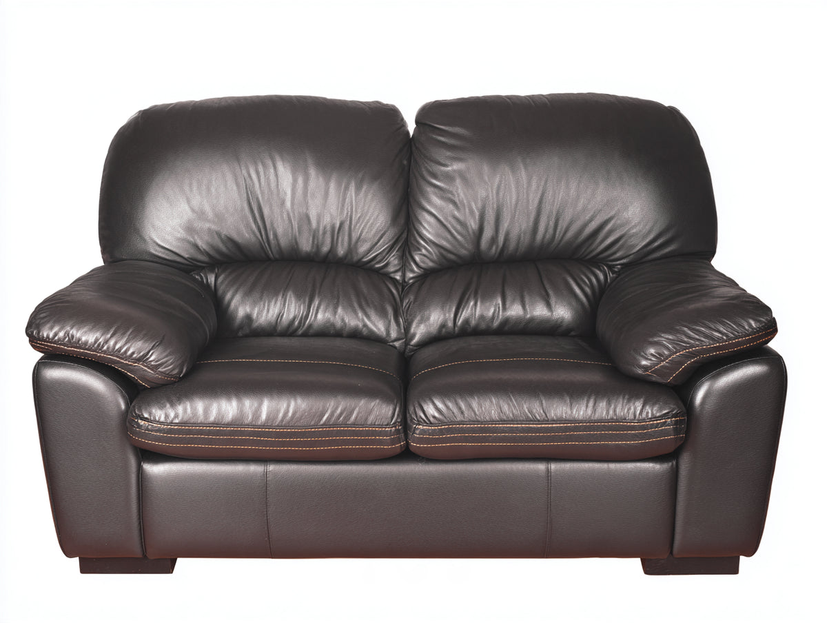 Sofá de 2 plazas 170 x 95 x 92 cm - tapizado marrón oscuro - diseño acolchado con reposabrazos anchos